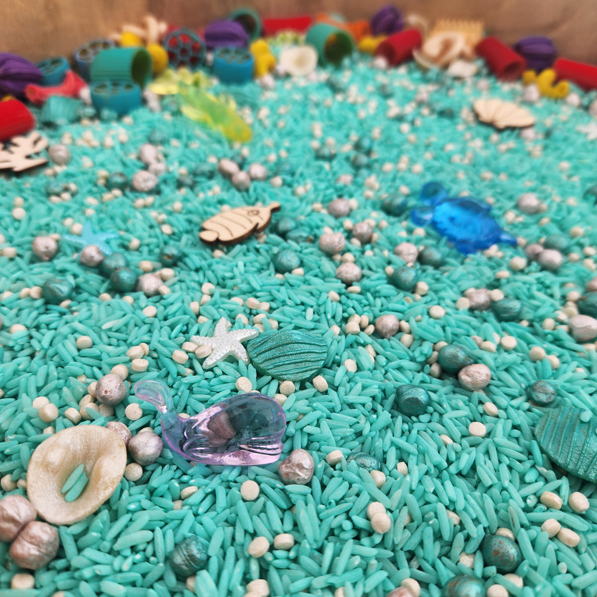 Underwater wonders