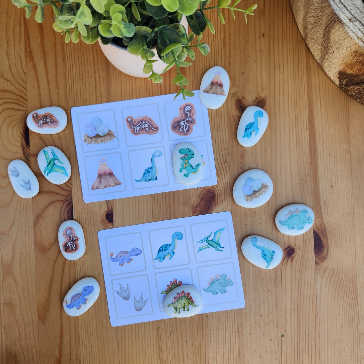 Jurassic Stones Stones