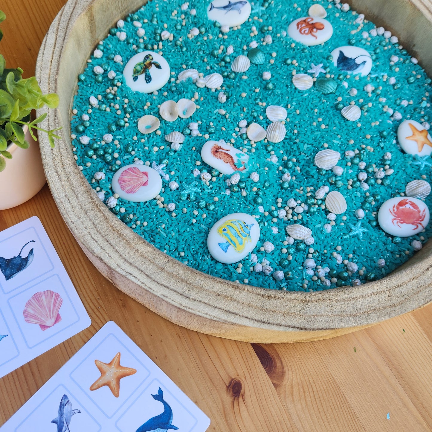 Under the Sea stones set