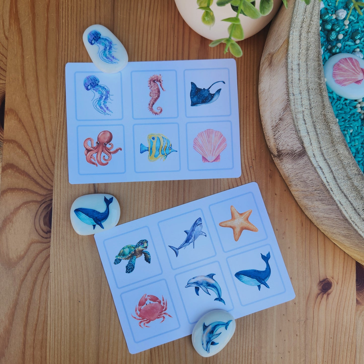 Under the Sea stones set