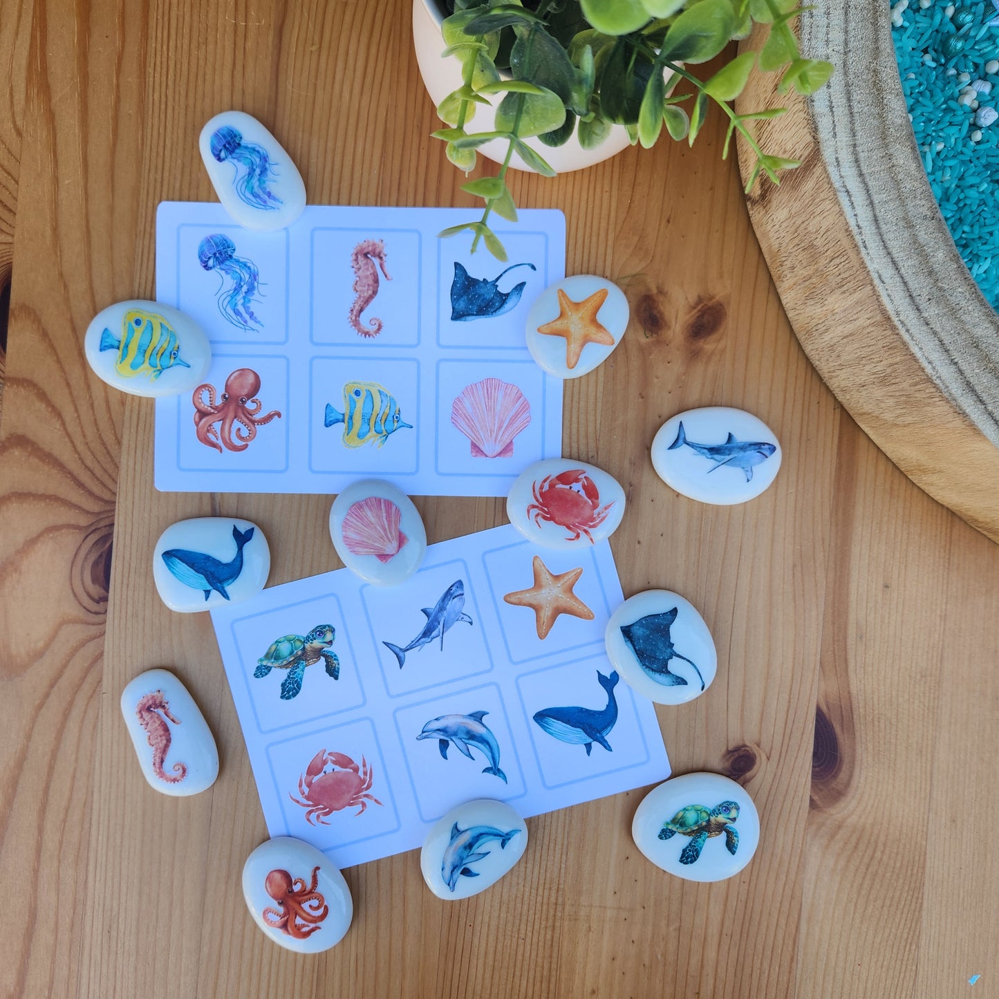 Under the Sea stones set
