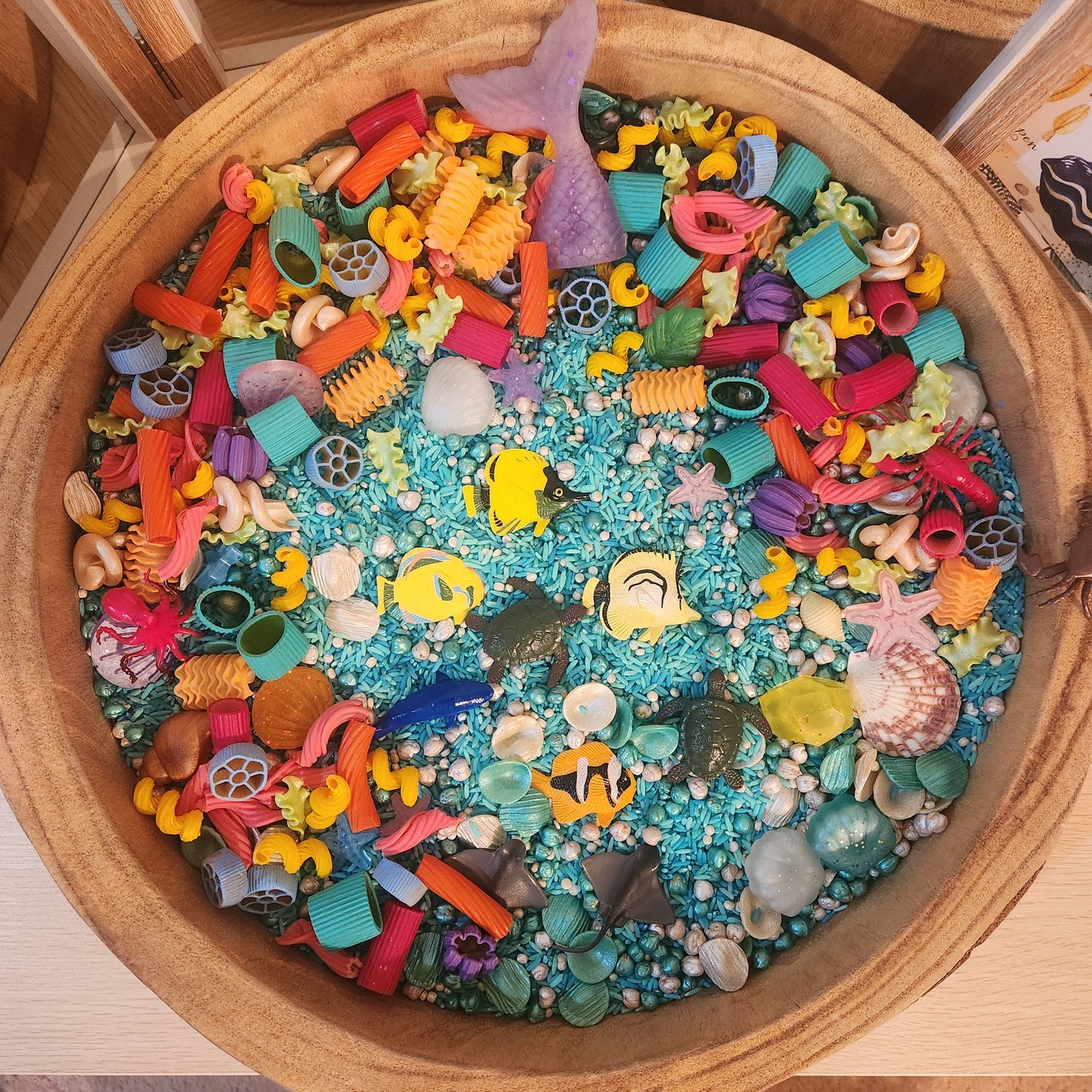Coral Cove Splash