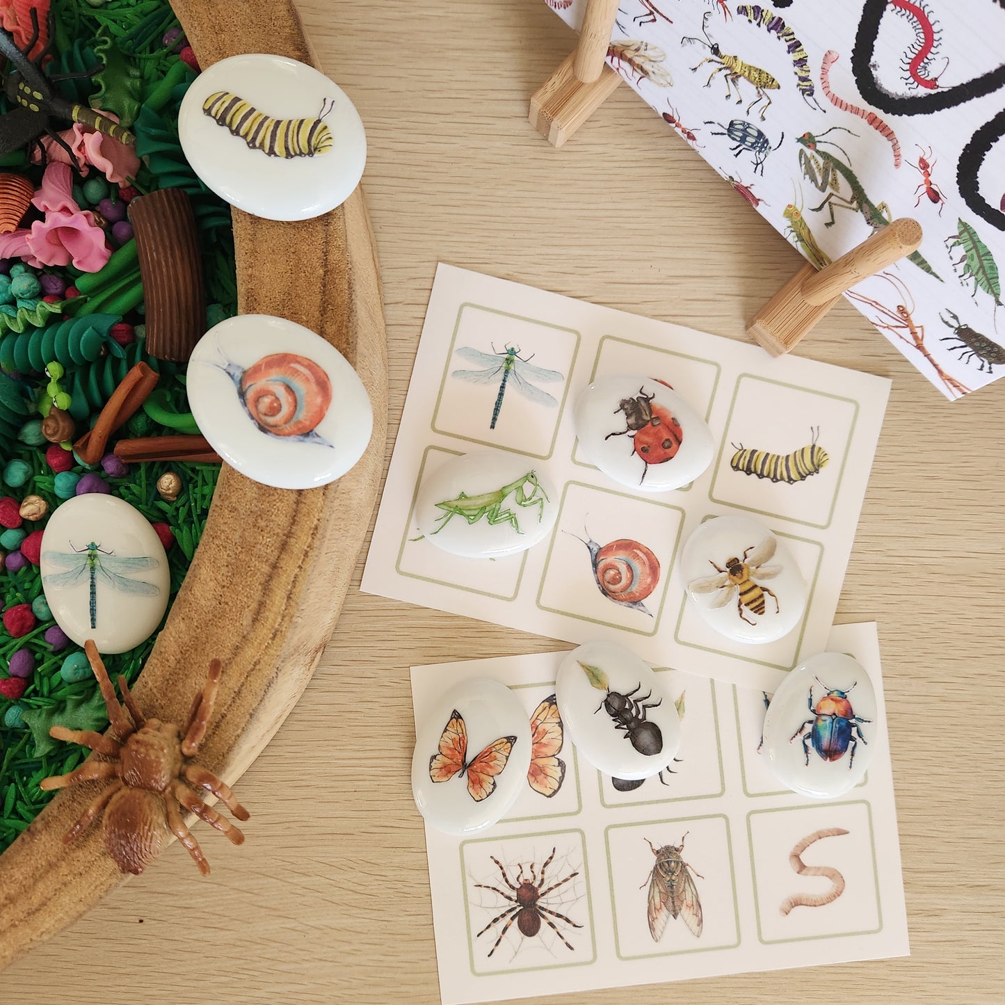 Bug Hunt Stones Set