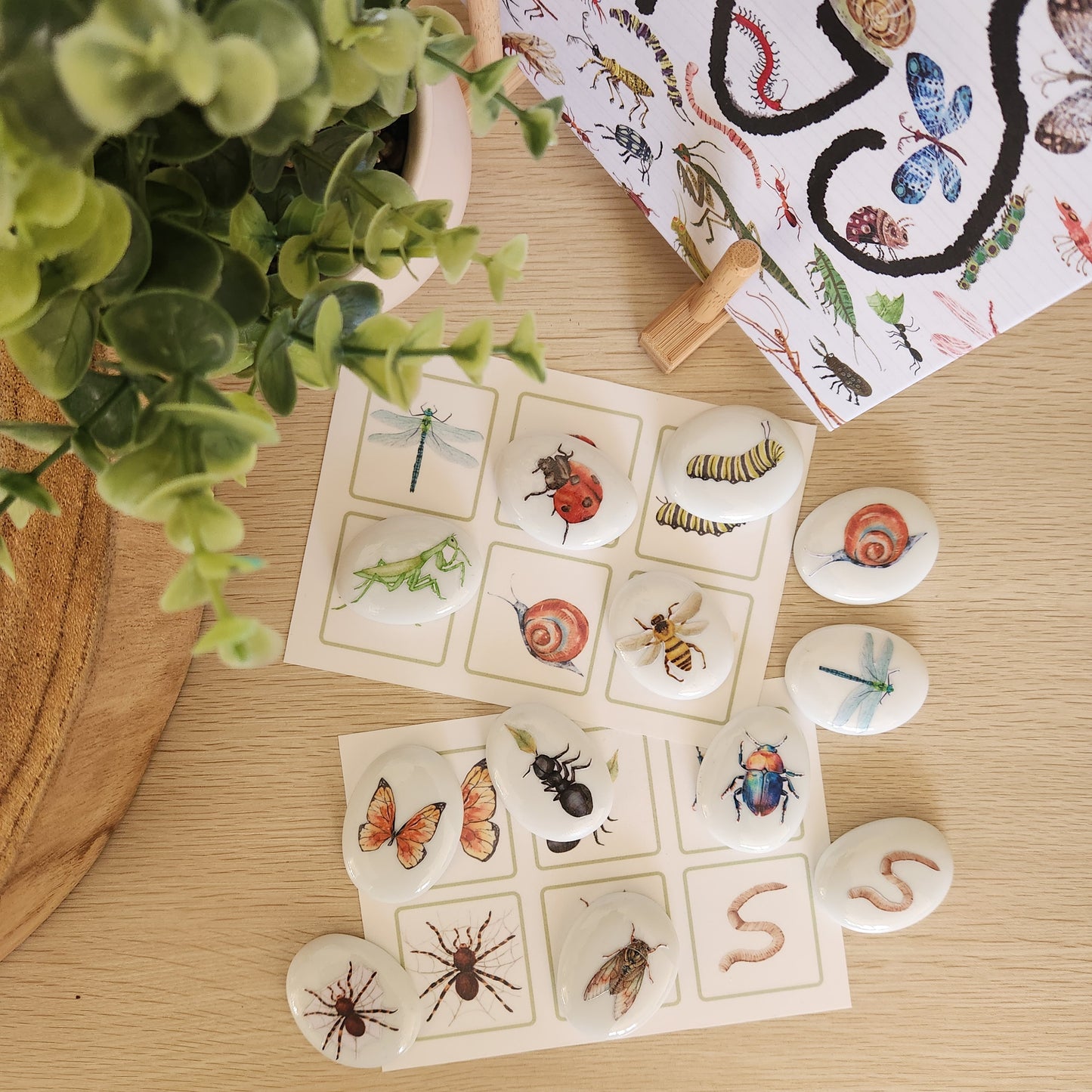 Bug Hunt Stones Set