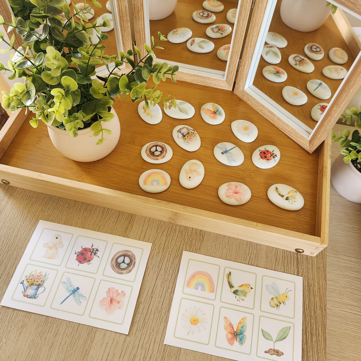 Bloom and Tell Stones Set