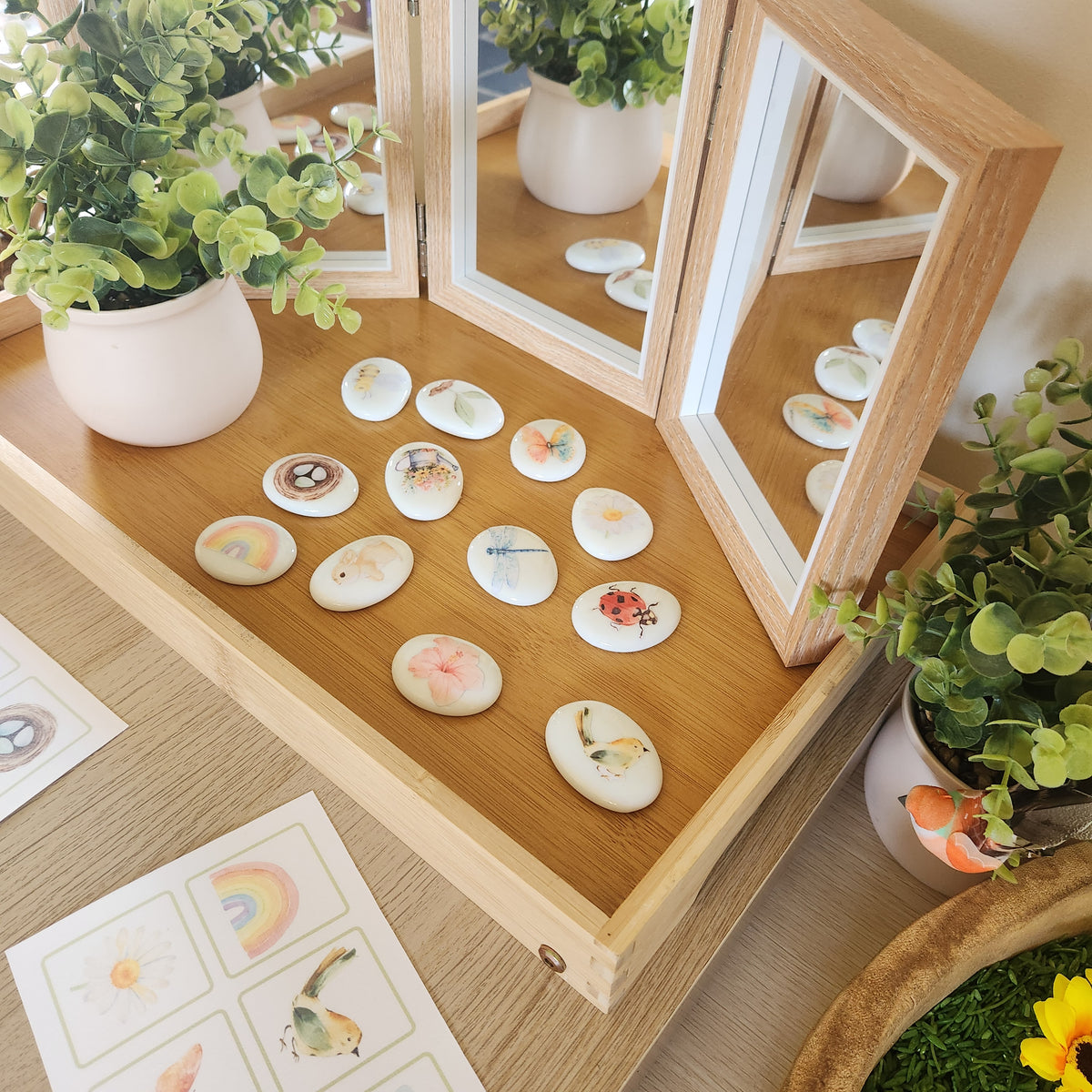 Bloom and Tell Stones Set