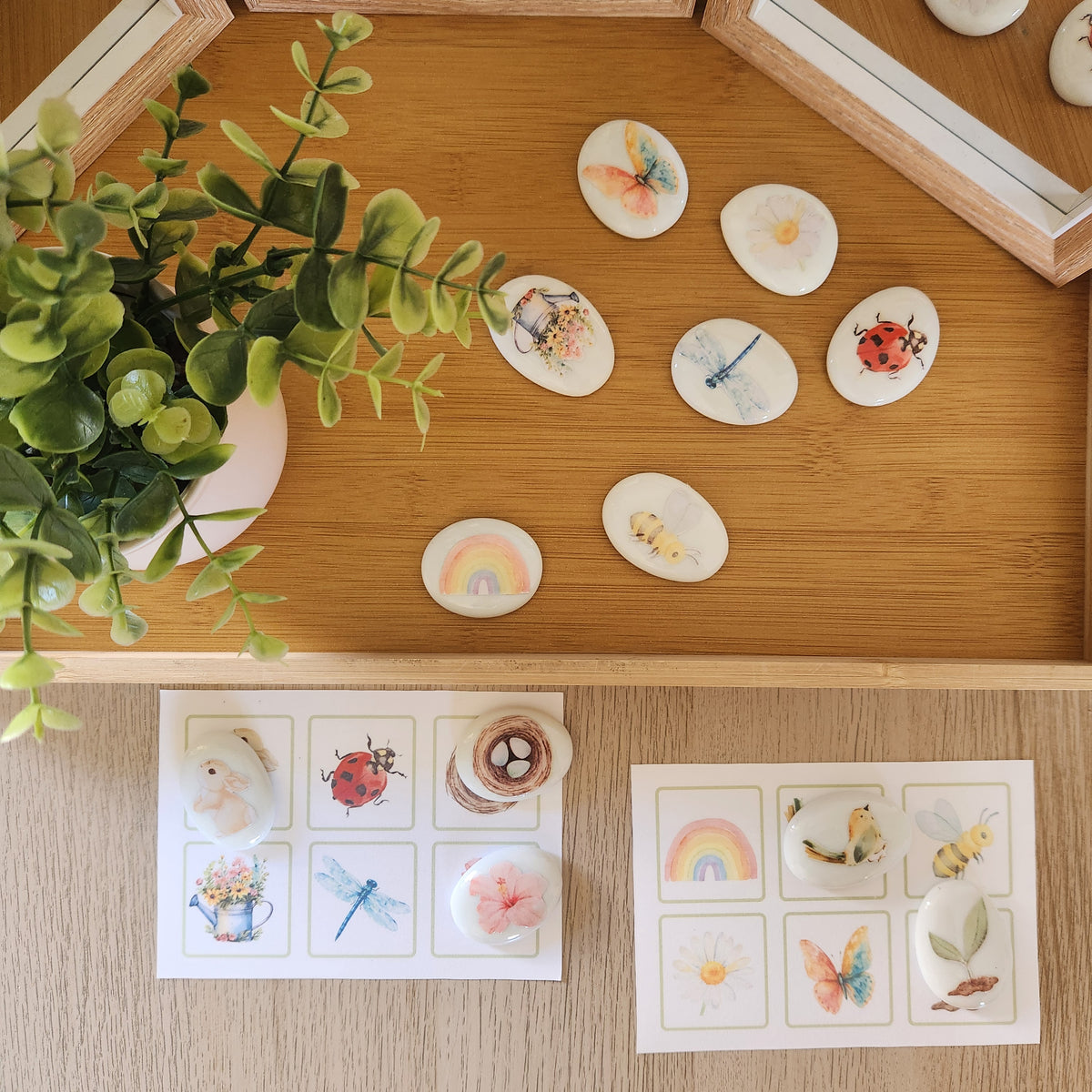 Bloom and Tell Stones Set